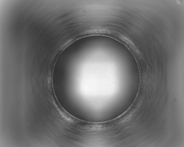 X0000073850841200608311958