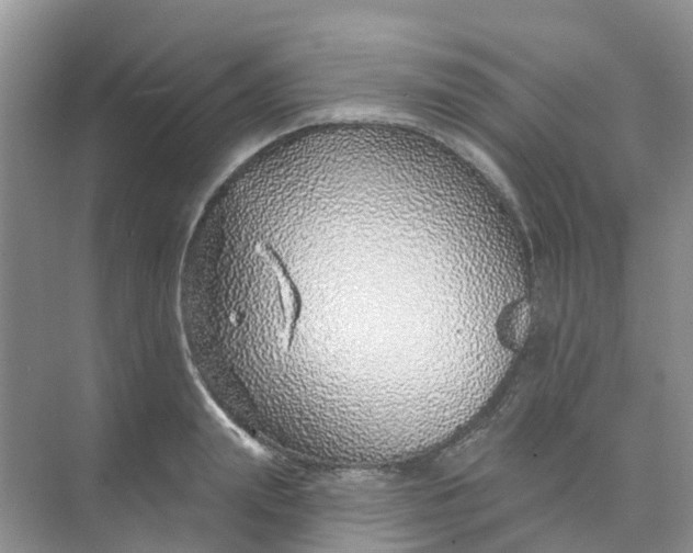 X0000073850847200608311958