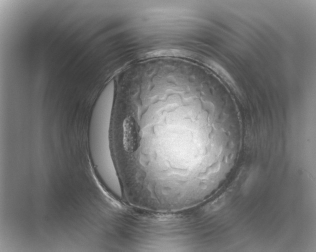 X0000073850849200608311958