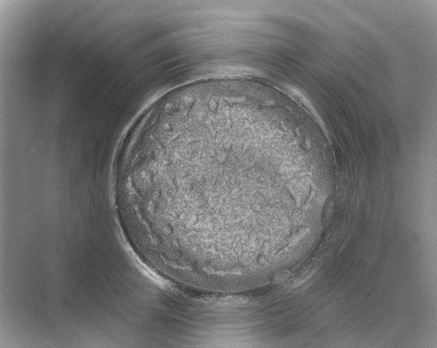 X0000073850851200608311959