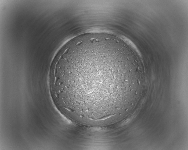 X0000073850855200608311959