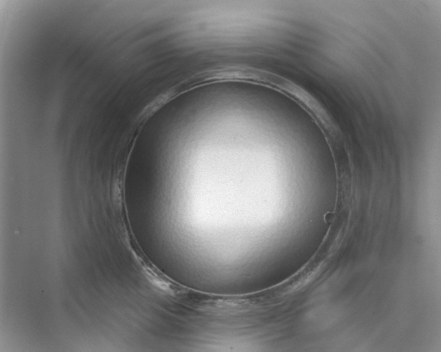 X0000073850857200608311959