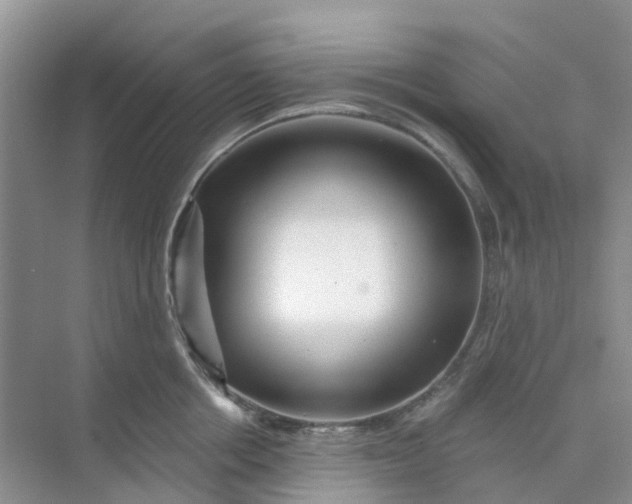 X0000073850858200608311959