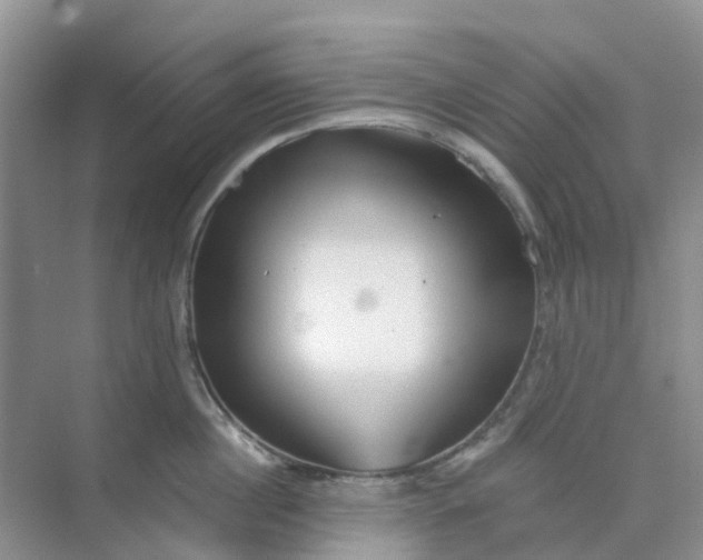 X0000073850860200608311959