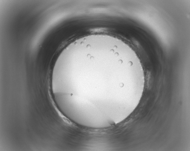 X0000073850861200608311959