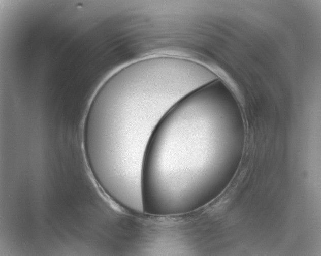 X0000073850862200608311959