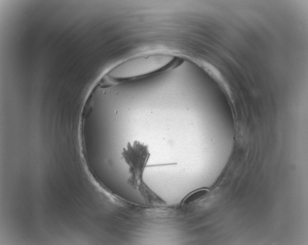 X0000073850863200608311959