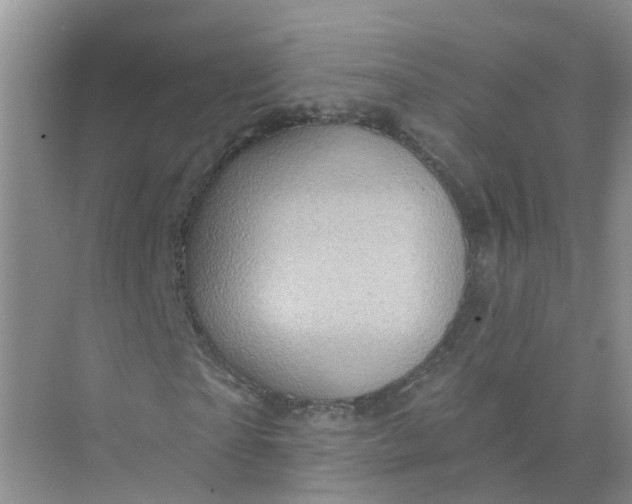 X0000073850865200608311958