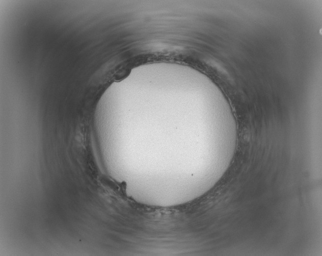 X0000073850869200608311958