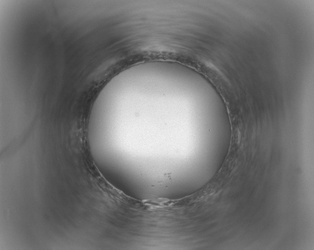 X0000073850870200608311958