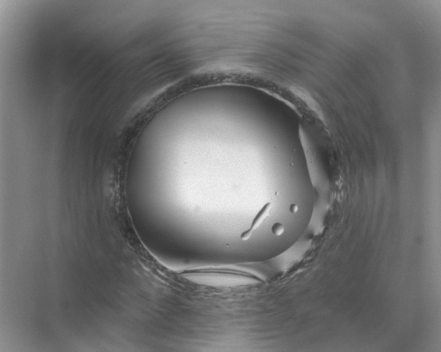 X0000073850872200608311958