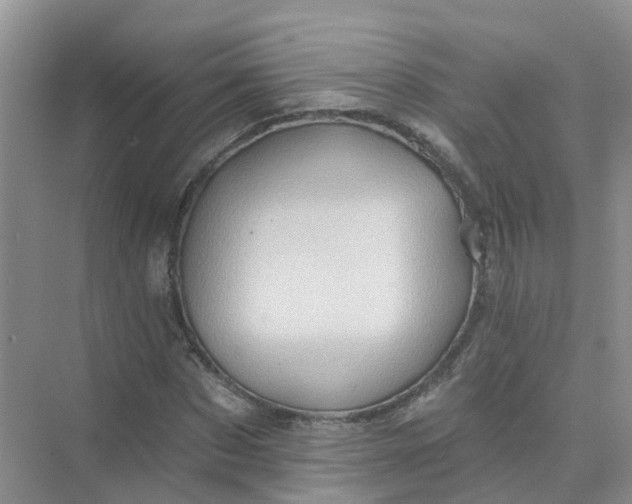 X0000073850873200608311958