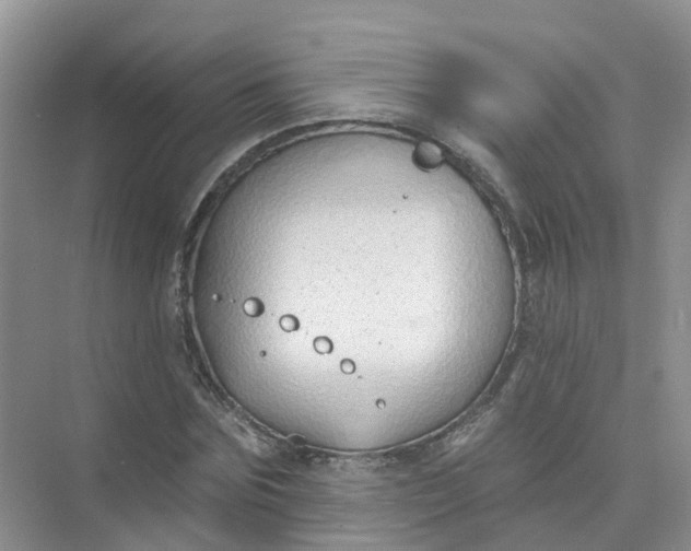 X0000073850875200608311958