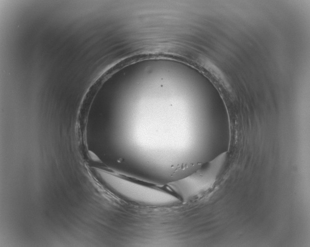 X0000073850876200608311958