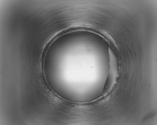 X0000073850877200608311958