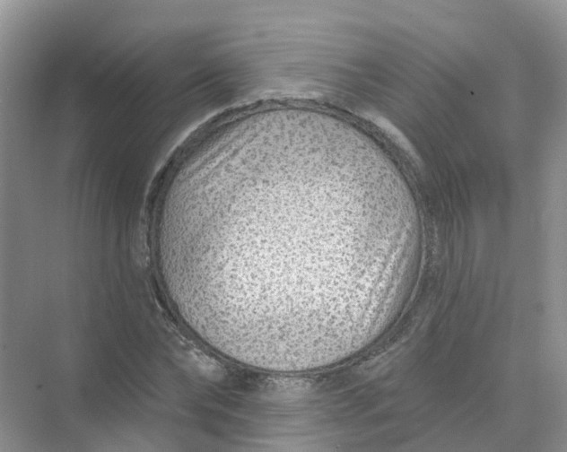 X0000073850878200608311958