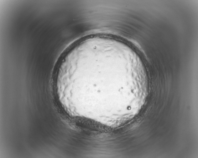 X0000073850879200608311958