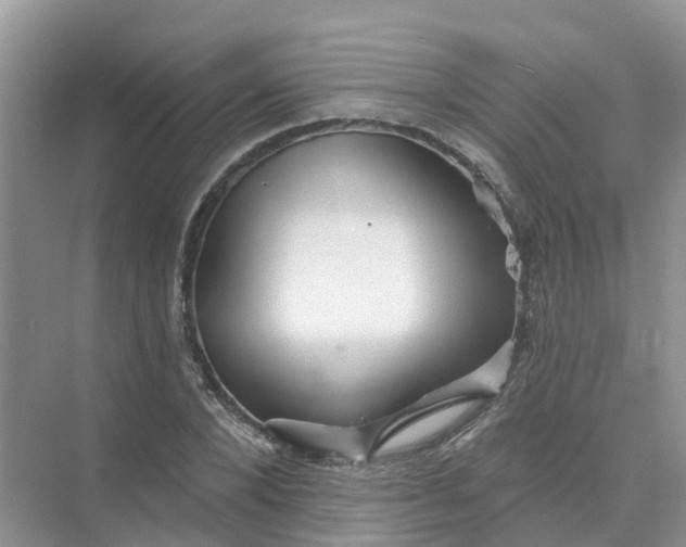 X0000073850880200608311958