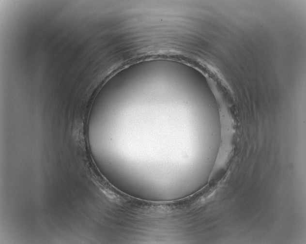 X0000073850881200608311958