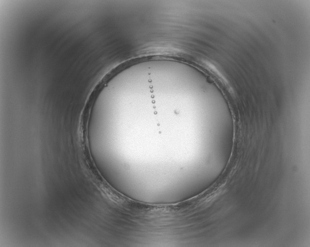 X0000073850883200608311958