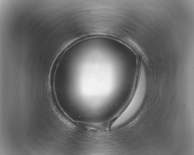 X0000073850884200608311958