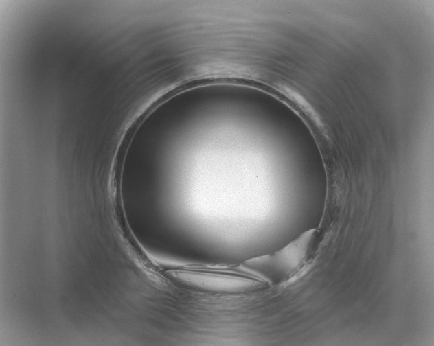 X0000073850885200608311958