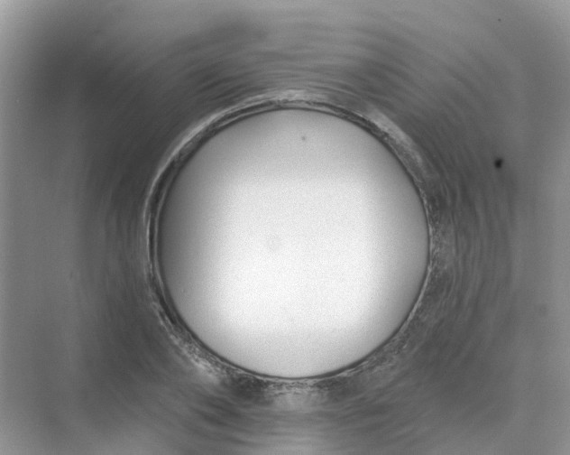 X0000073850886200608311958