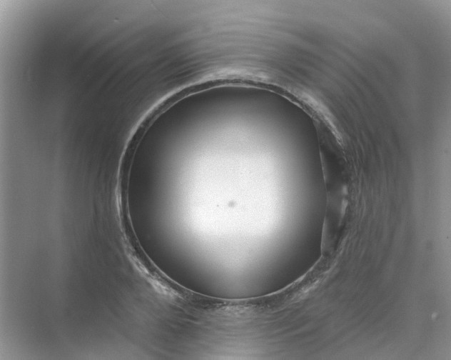 X0000073850888200608311958