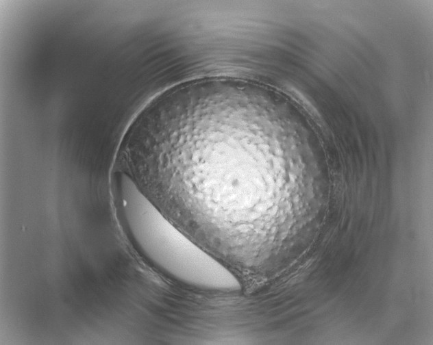 X0000073850891200608311957