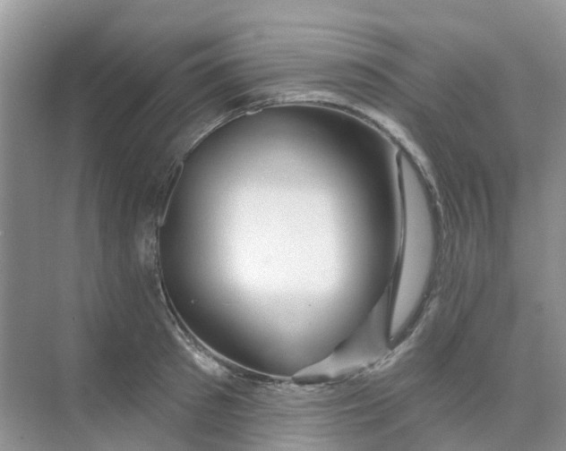 X0000073850897200608311957