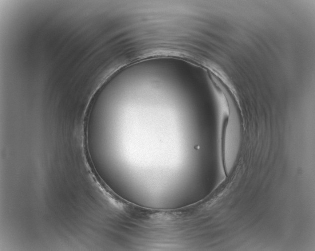 X0000073850898200608311957