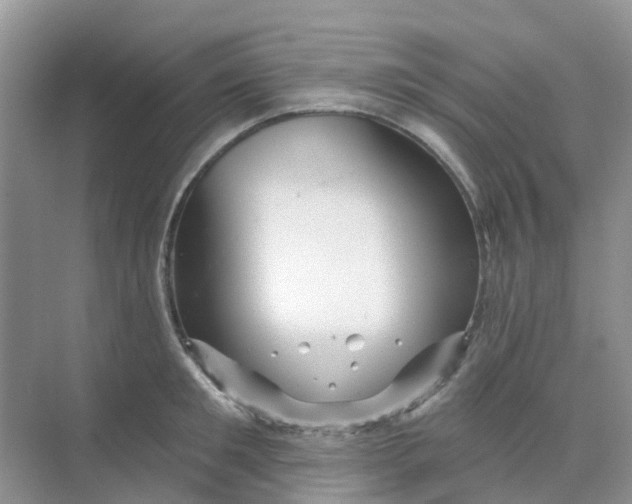 X0000073850901200608311957