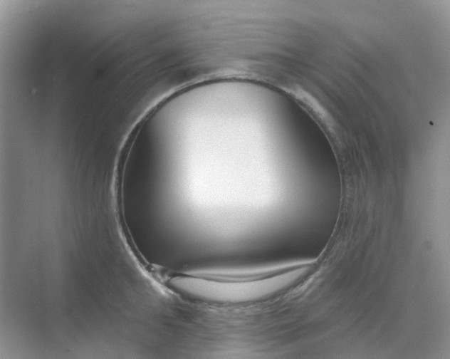 X0000073850902200608311957