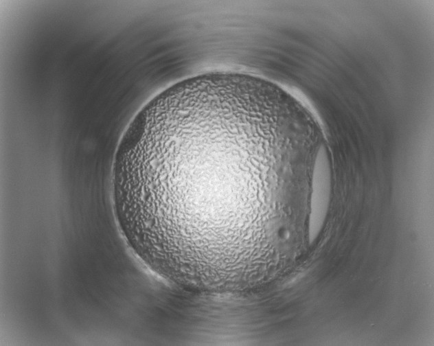 X0000073850903200608311957