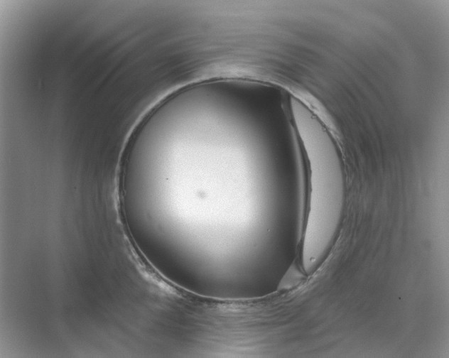 X0000073850904200608311957