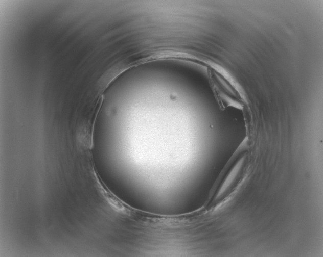 X0000073850905200608311957