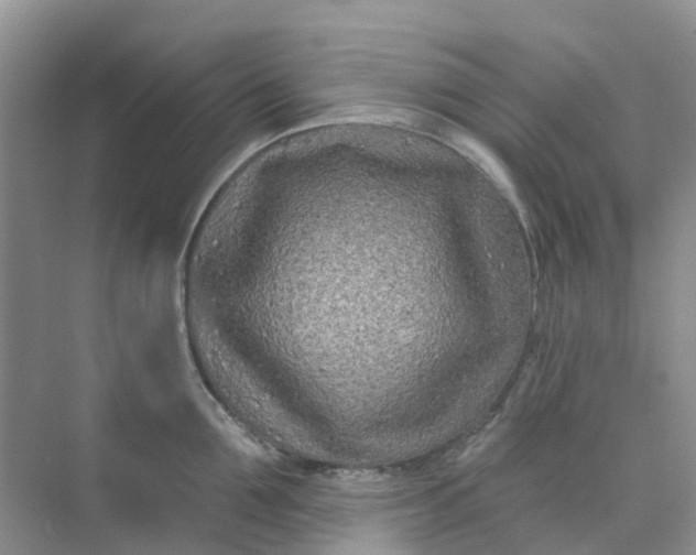 X0000073850907200608311957