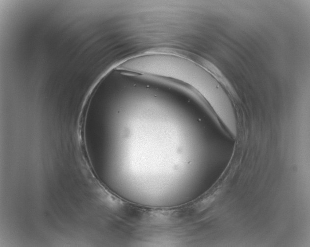 X0000073850908200608311957