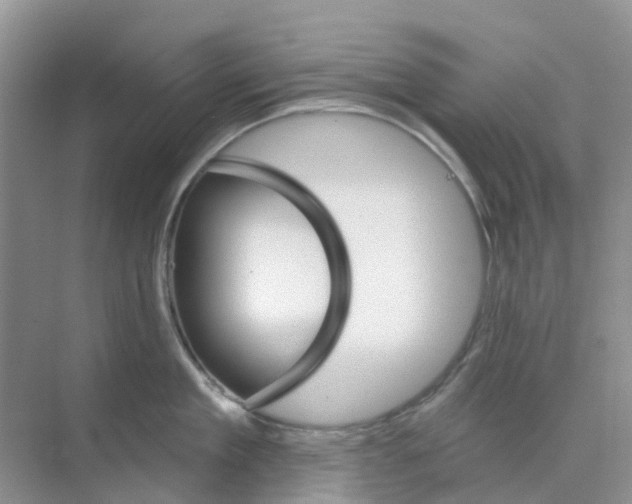 X0000073850909200608311957