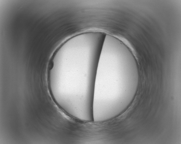 X0000073850910200608311957