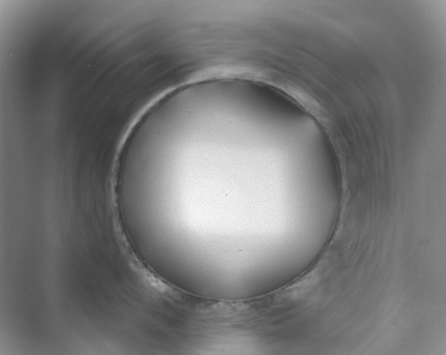 X0000073850912200608311957