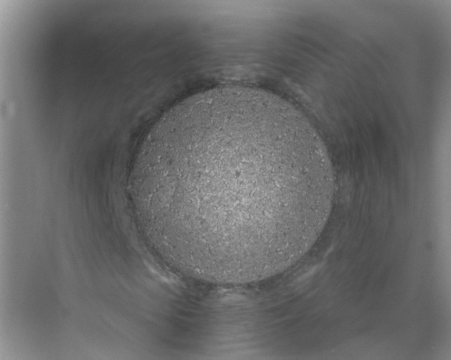 X0000073850913200608311956