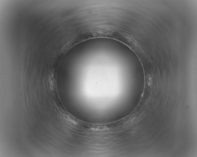 X0000073850915200608311956