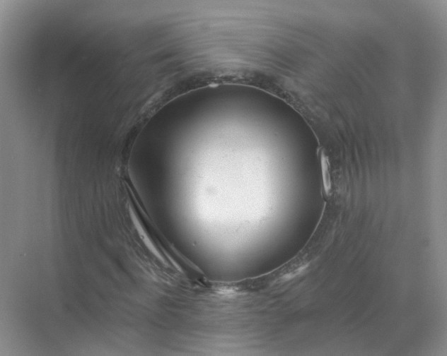 X0000073850916200608311956