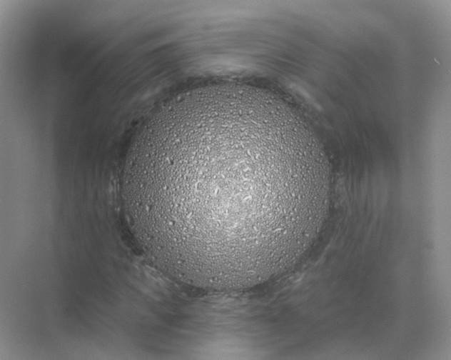 X0000073850917200608311956