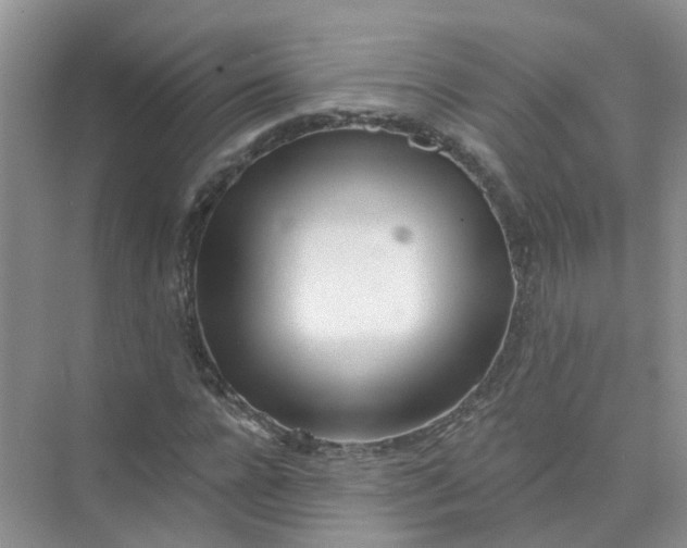 X0000073850920200608311956