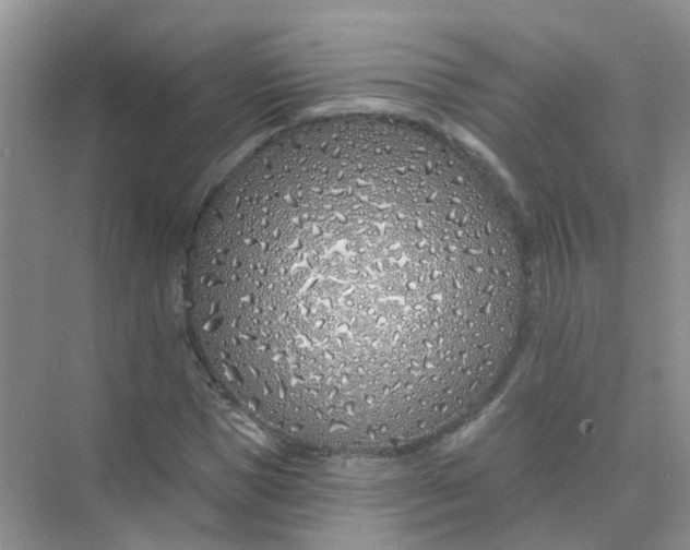 X0000073850921200608311956