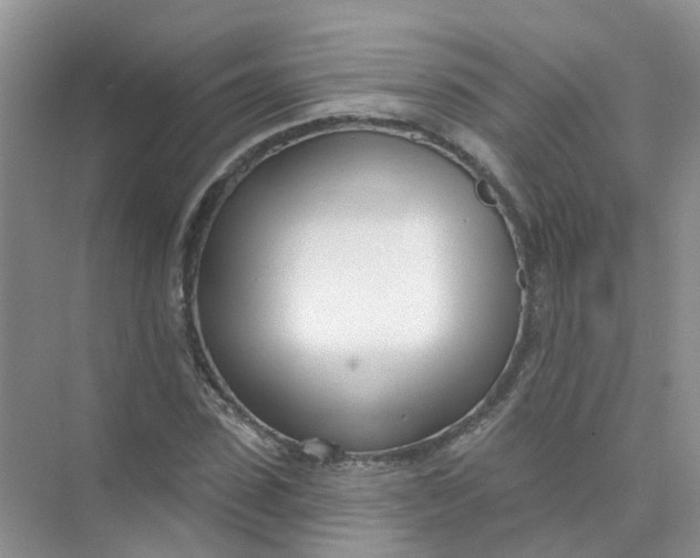 X0000073850923200608311957