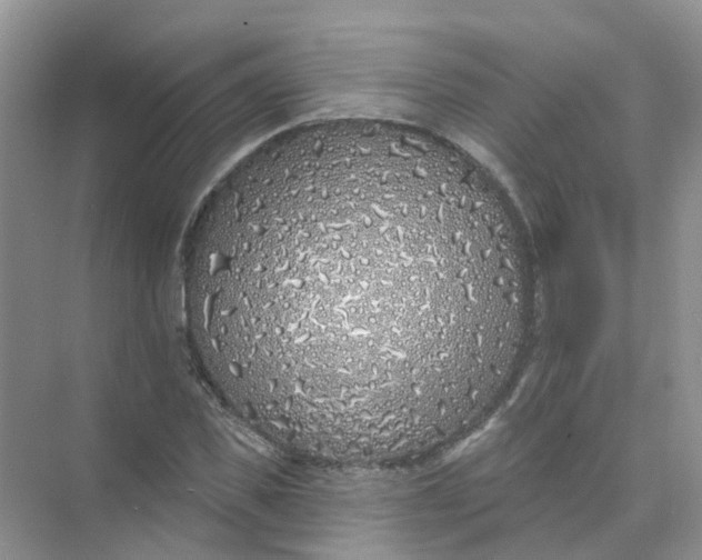 X0000073850925200608311957