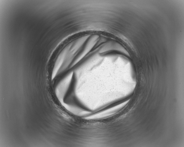 X0000073850926200608311957